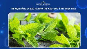 trị mụn bằng lá bạc hà