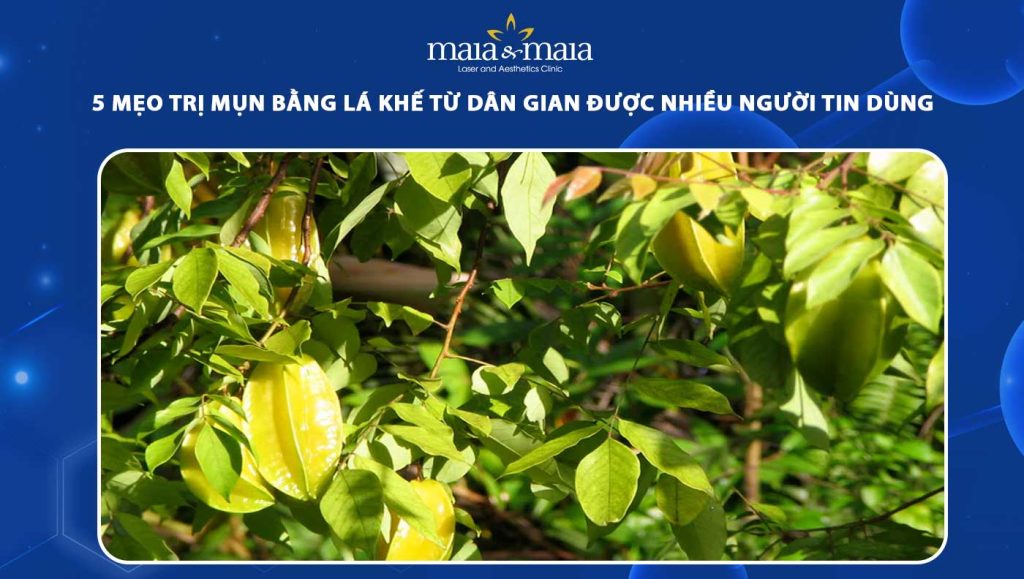 Tổng hợp 5 mẹo trị mụn bằng lá khế được ưa chuộng hiện nay 1 trị mụn bằng lá khế