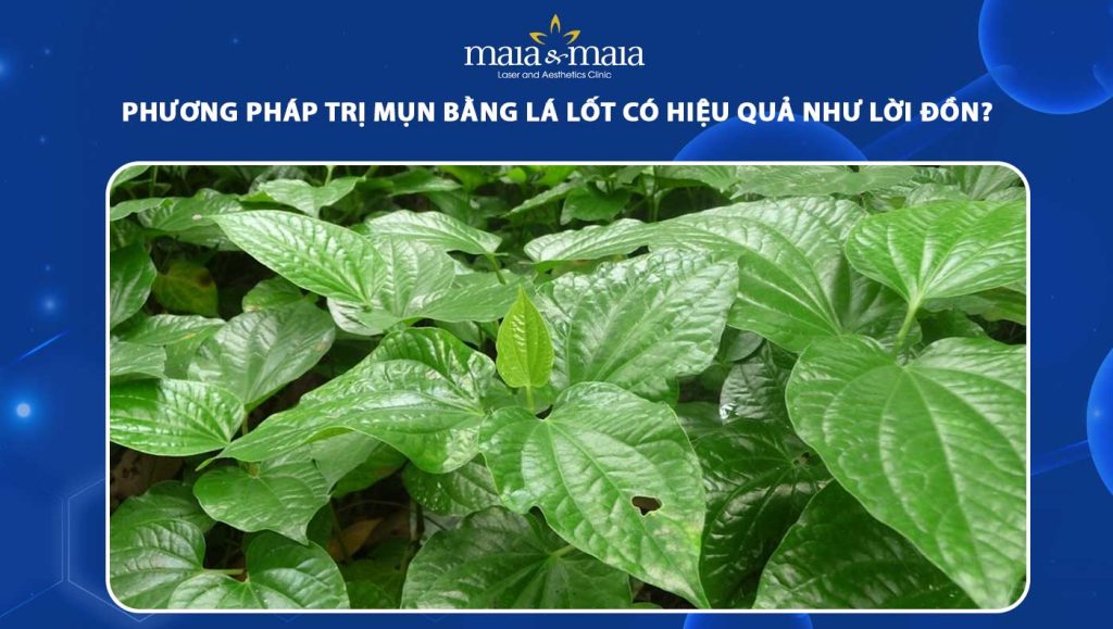 trị mụn bằng lá lốt