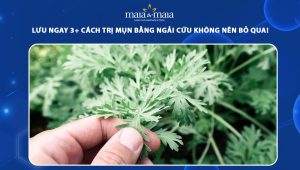 trị mụn bằng lá ngải cứu