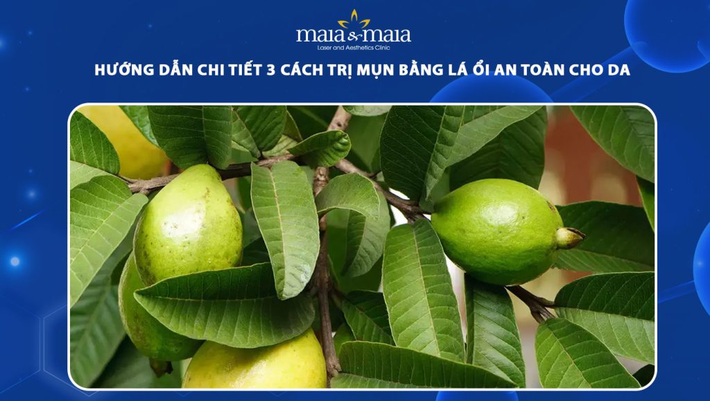 trị mụn bằng lá ổi