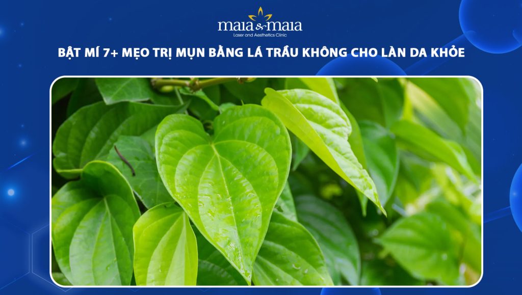 trị mụn bằng lá trầu không