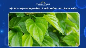 trị mụn bằng lá trầu không