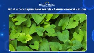 trị mụn bằng rau diếp cá