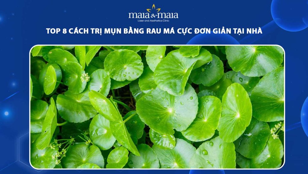 TOP 8 cách trị mụn bằng rau má cực đơn giản tại nhà 1 trị mụn bằng rau má