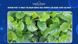 trị mụn bằng rau mồng tơi