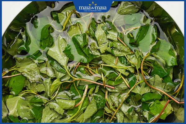 10 cách trị mụn bằng rau diếp cá nhanh chóng và hiệu quả 3 xông mặt bằng lá diếp cá