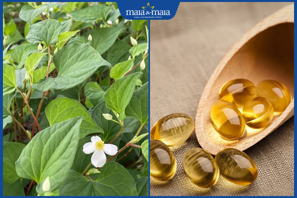 Bỏ túi 8 mẹo trị mụn lưng bằng rau diếp cá ngay tại nhà 6 diếp cá và vitamin e