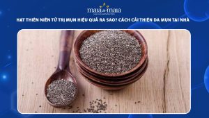 hạt thiên niên tử trị mụn