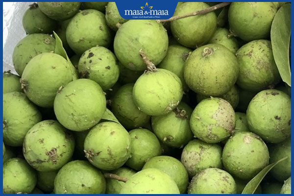 Ăn quả sấu có nổi mụn không? Hướng dẫn chế biến đúng cách 2 quả sấu