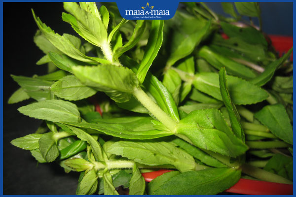 Thận yếu gây mụn hay không? Làm sao để cải thiện làn da mụn? 3 rau ngổ