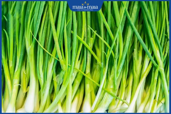 Trị mụn trứng cá bằng hành lá như thế nào? Hiệu quả ra sao? 2 hành lá