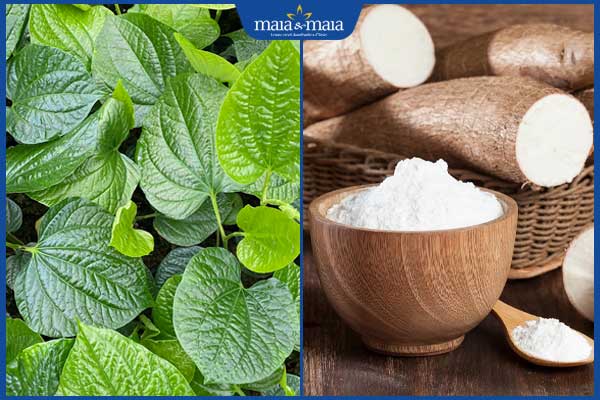 lá lốt và bột sắn dây