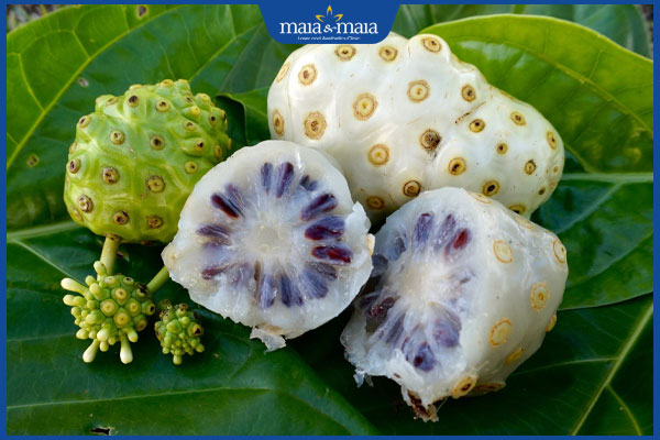 Hướng dẫn chi tiết 3 cách trị mụn cóc bằng trái nhàu tại nhà 2 trái nhàu