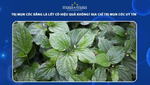 trị mụn cóc bằng lá lốt