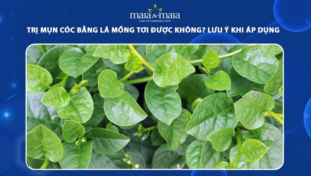 trị mụn cóc bằng lá mồng tơi