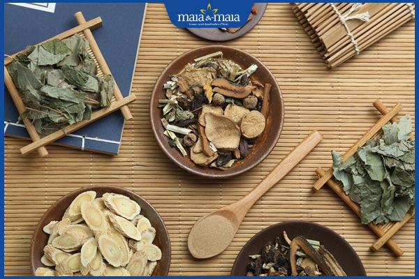 Lưu ý quan trọng khi chữa bệnh dị ứng bằng thuốc nam 2 các loại thuốc nam