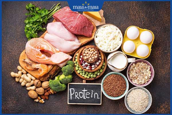 thực phẩm nhiều protein