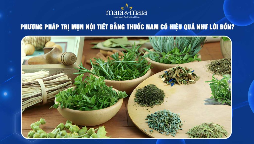 Trị mụn nội tiết bằng thuốc nam có hiệu quả như lời đồn? 1 Trị mụn nội tiết bằng thuốc nam