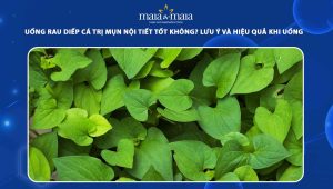 uống rau diếp cá trị mụn nội tiết