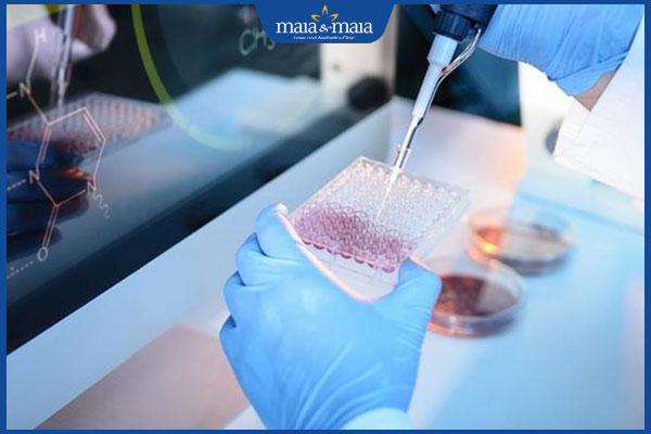 cấy ghép tế bào