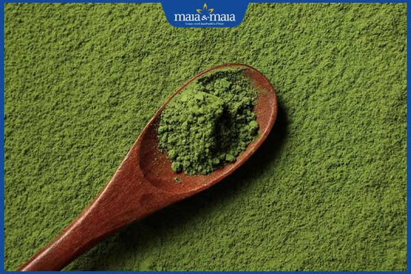 chọn bột trà xanh nguyên chất 