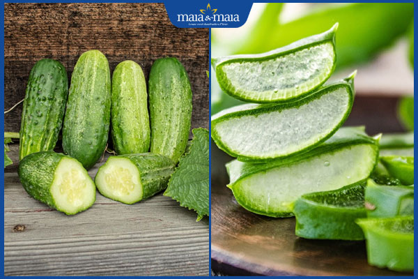 dưa chuột và nha đam