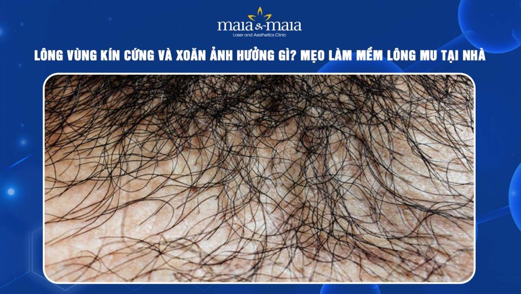Lông vùng kín cứng và xoăn