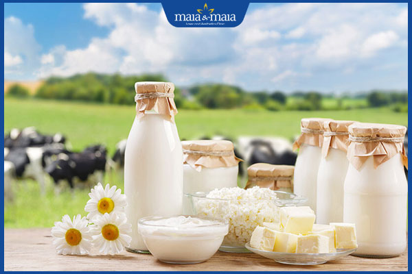 sữa bò và các sản phẩm từ sữa