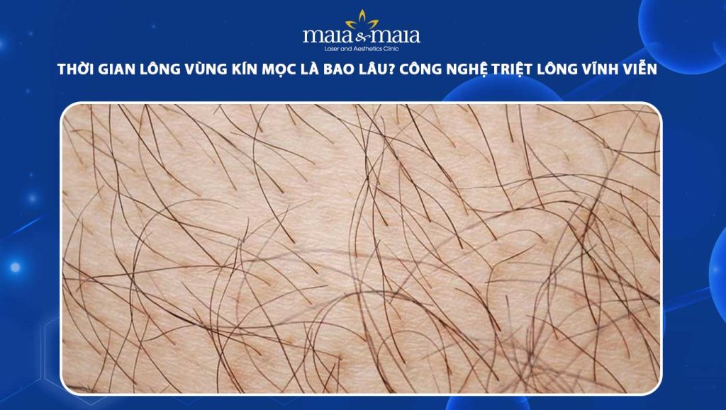 thời gian lông vùng kín mọc lại