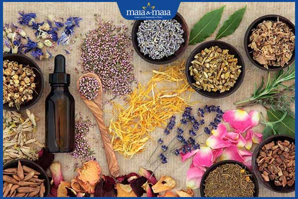 các loại thảo dược