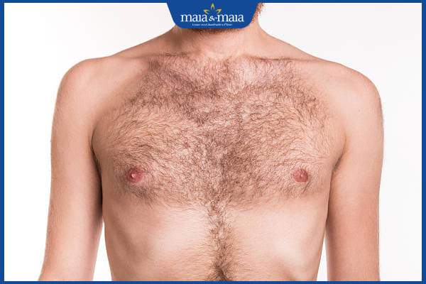 định nghĩa lông ngực