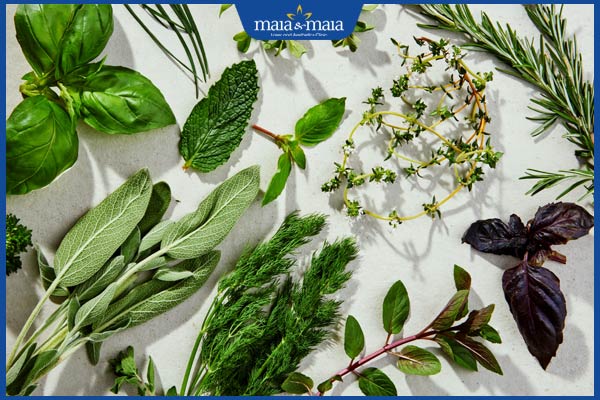 các loại lá tắm