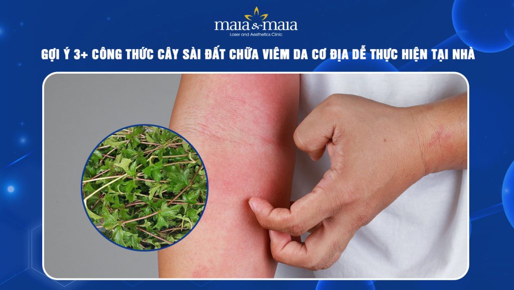 Cây sài đất chữa viêm da cơ địa
