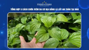 Chữa viêm da cơ địa bằng lá lốt