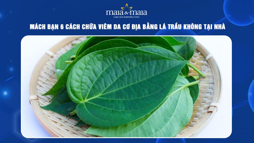 Mách bạn 6 cách chữa viêm da cơ địa bằng lá trầu không 1 Chữa viêm da cơ địa bằng lá trầu không