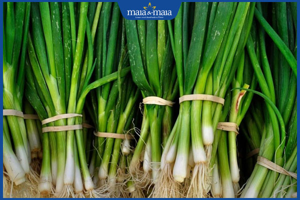 Tổng hợp danh sách 11 loại lá cây chữa viêm da dị ứng 4 hành hoa