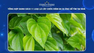 lá cây chữa viêm da dị ứng