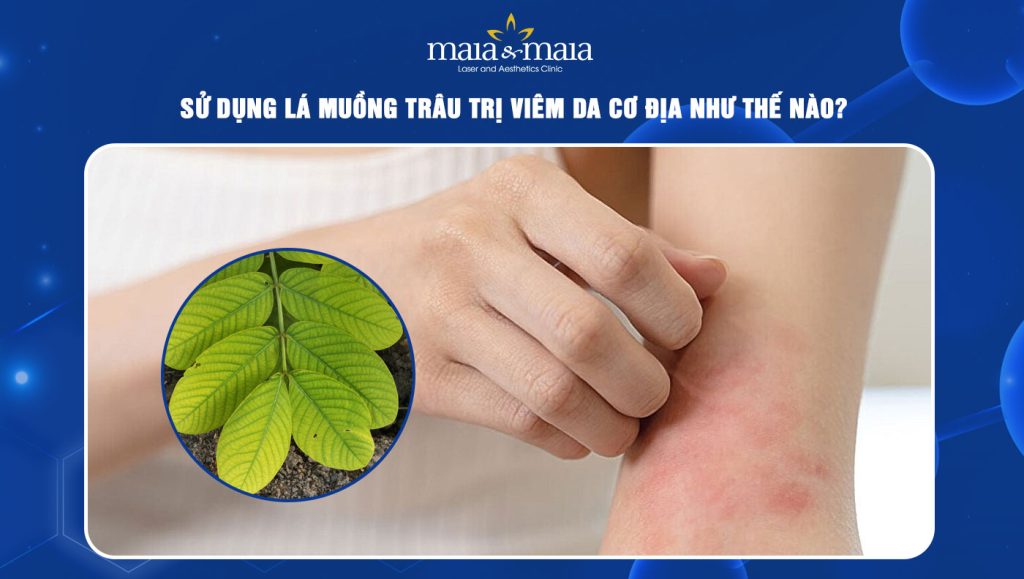 lá muồng trâu trị viêm da cơ địa