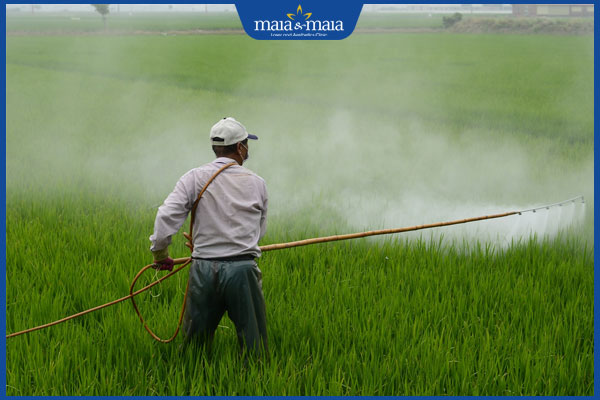 người dễ bị viêm da