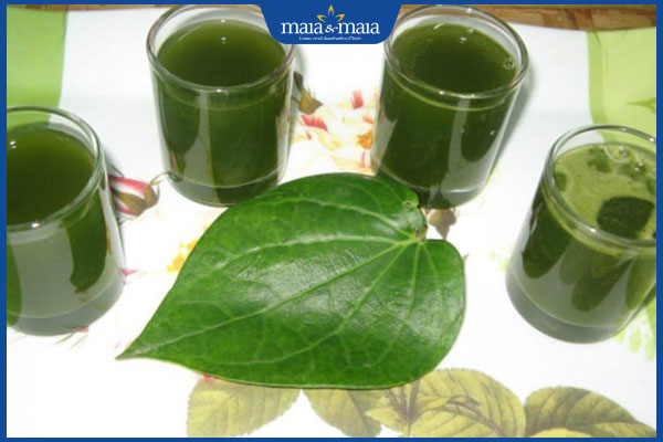 Mách bạn 6 cách chữa viêm da cơ địa bằng lá trầu không 2 nước lá trầu không