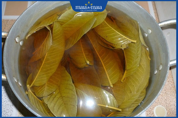 nước tắm lá bàng