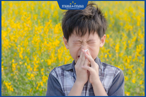 phấn hoa gây dị ứng