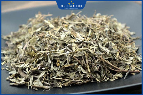 Bật mí 5 cách chữa viêm da cơ địa bằng lá khế nên biết 3 sao lá khế