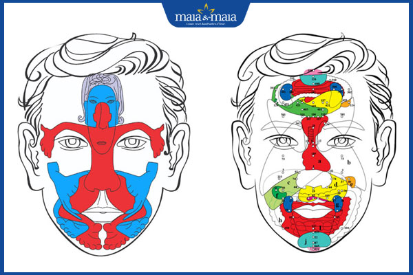 tác dụng diện chẩn