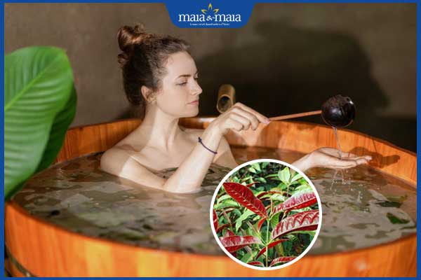 Viêm da tiếp xúc: Phân loại, chẩn đoán và cách điều trị 9 tắm lá đơn đỏ