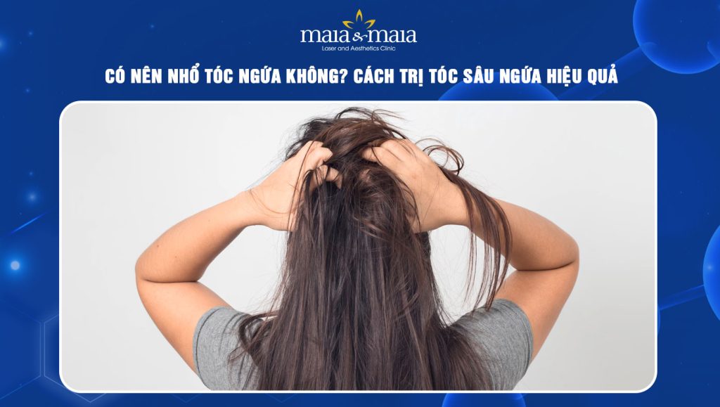 Có nên nhổ tóc ngứa không? Cách trị tóc sâu ngứa hiệu quả 1 tóc ngứa