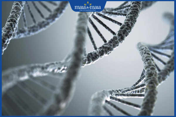 yếu tố di truyền