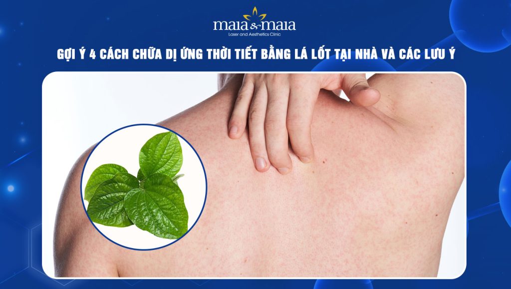 Gợi ý 4 cách chữa dị ứng thời tiết bằng lá lốt và các lưu ý 1 chữa dị ứng thời tiết bằng lá lốt