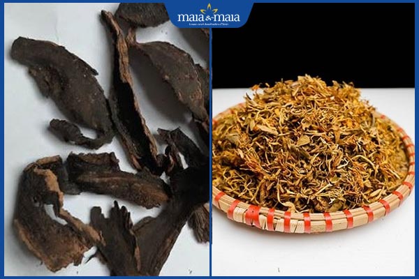 huyền sâm và kim ngân hoa